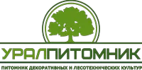 Саженцы Липы мелколистной, 100-150 см