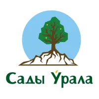 Голубика Высокорослая Блюкроп