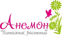 Голубика "Bluecrop"
