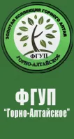 Саженцы смородины черной Геркулес