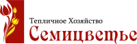 Саженцы земляники Александрия