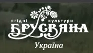 Саженцы клюквы Стивенс