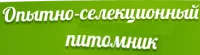 Саженцы рябины Невеженская