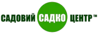 Саджанці смородини Краса Львова