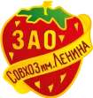 Саженцы смородины красной Голландская