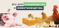 Лента пометоудаления